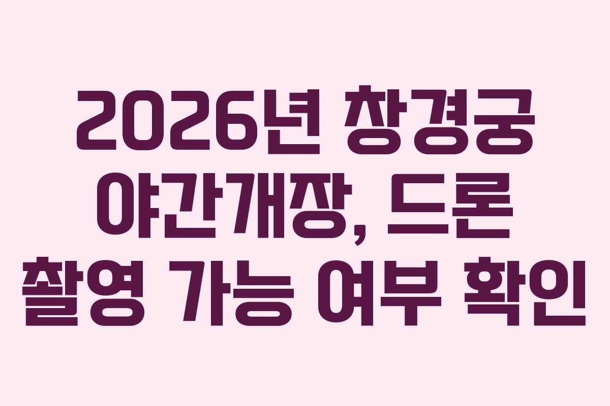 2026년 창경궁 야간개장, 드론 촬영 가능 여부 확인