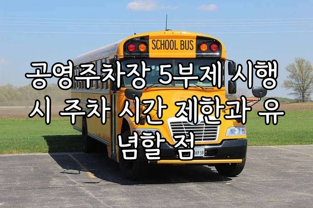 공영주차장 5부제 시행 시 주차 시간 제한과 유념할 점