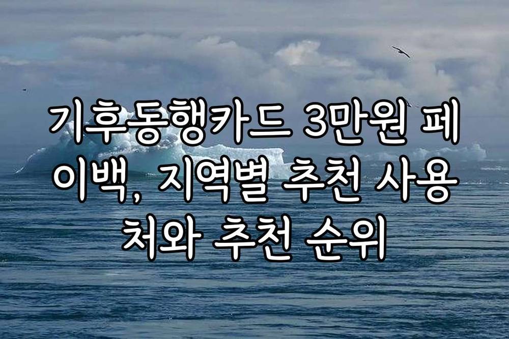 기후동행카드 3만원 페이백, 지역별 추천 사용처와 추천 순위