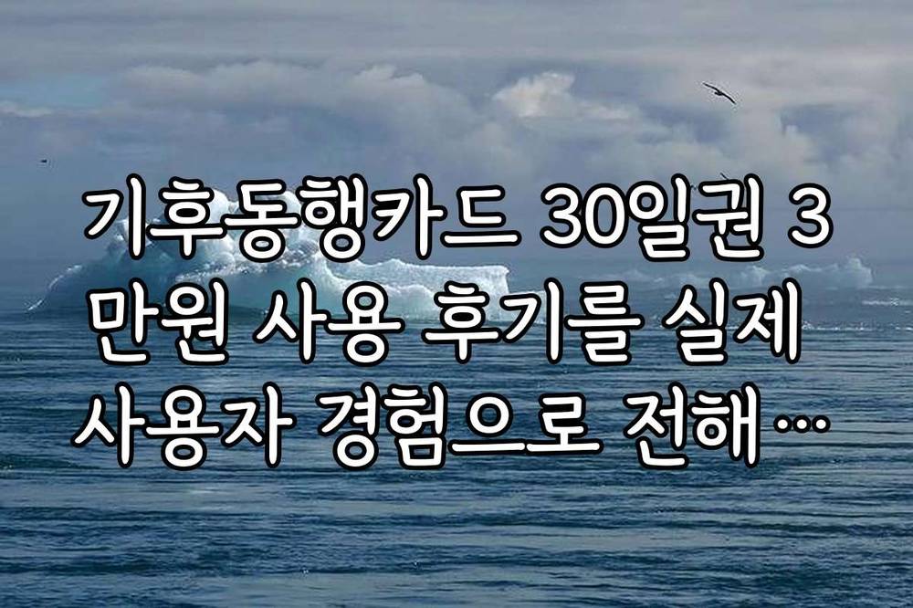 기후동행카드 30일권 3만원 사용 후기를 실제 사용자 경험으로 전해드립니다