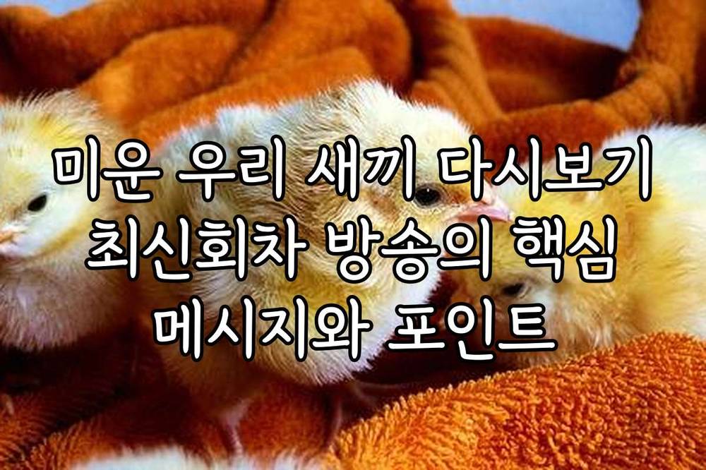 미운 우리 새끼 다시보기 최신회차 방송의 핵심 메시지와 포인트