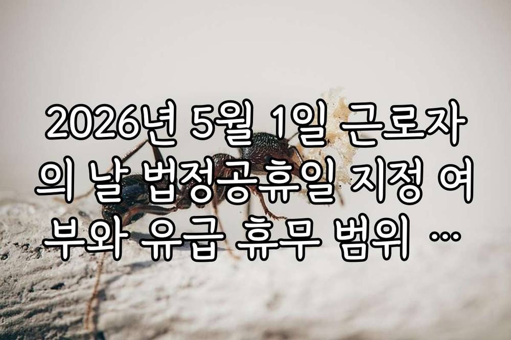 2026년 5월 1일 근로자의 날 법정공휴일 지정 여부와 유급 휴무 범위 정리