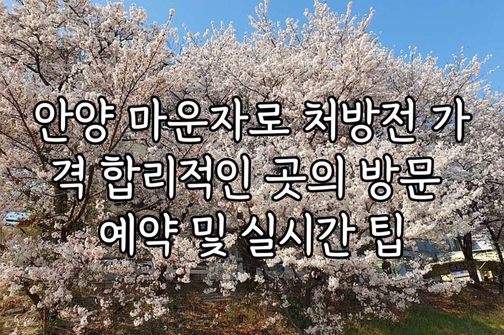 안양 마운자로 처방전 가격 합리적인 곳의 방문 예약 및 실시간 팁