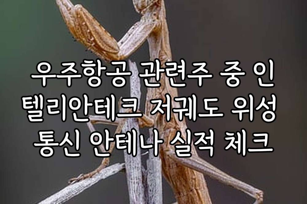 우주항공 관련주 중 인텔리안테크 저궤도 위성 통신 안테나 실적 체크