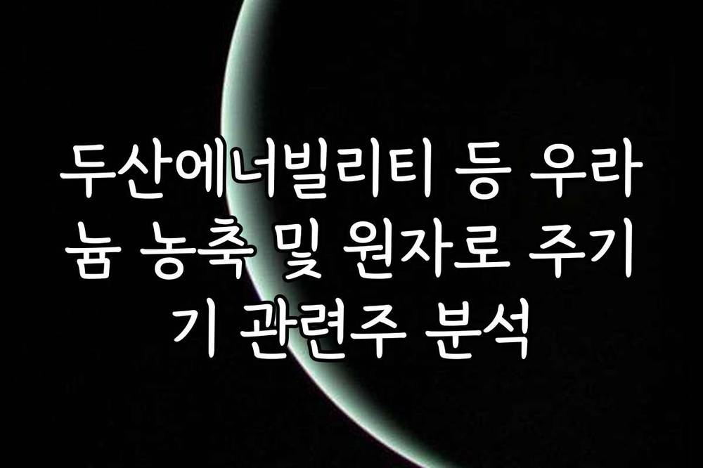 두산에너빌리티 등 우라늄 농축 및 원자로 주기기 관련주 분석