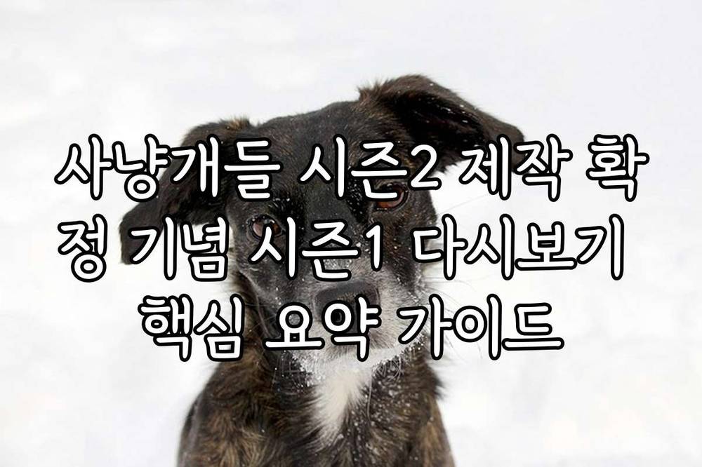 사냥개들 시즌2 제작 확정 기념 시즌1 다시보기 핵심 요약 가이드