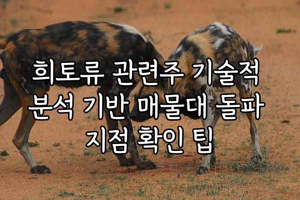희토류 관련주 기술적 분석 기반 매물대 돌파 지점 확인 팁