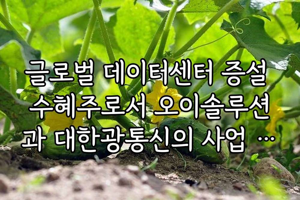 글로벌 데이터센터 증설 수혜주로서 오이솔루션과 대한광통신의 사업 협력 현황