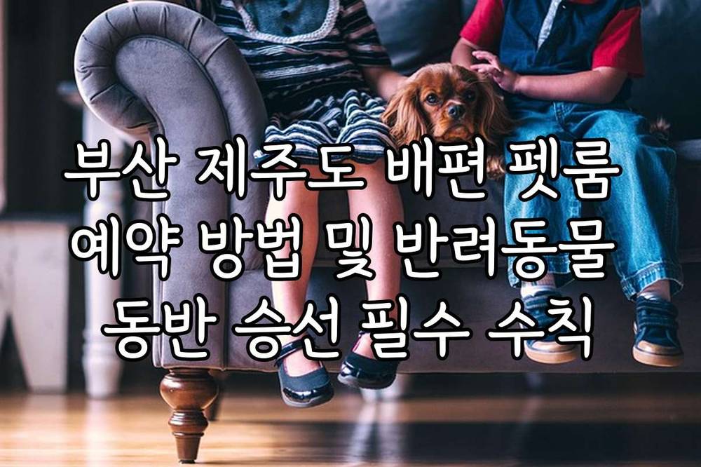 부산 제주도 배편 펫룸 예약 방법 및 반려동물 동반 승선 필수 수칙