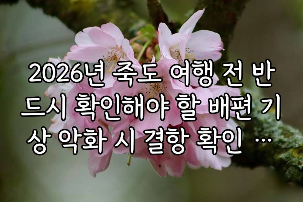 2026년 죽도 여행 전 반드시 확인해야 할 배편 기상 악화 시 결항 확인 방법