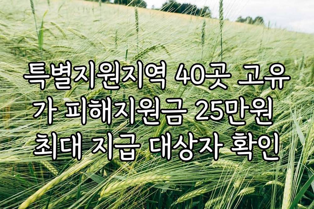 특별지원지역 40곳 고유가 피해지원금 25만원 최대 지급 대상자 확인