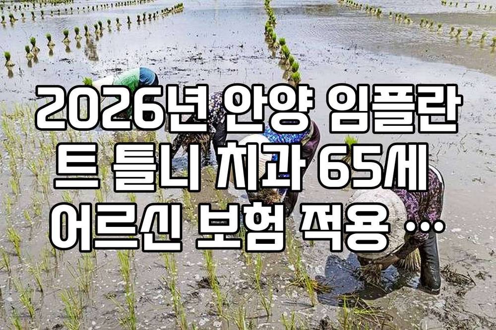 2026년 안양 임플란트 틀니 치과 65세 어르신 보험 적용 혜택 완벽 정리