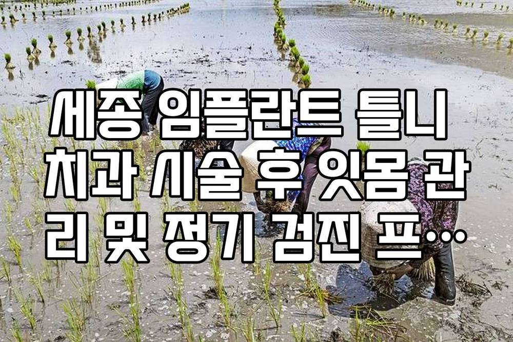 세종 임플란트 틀니 치과 시술 후 잇몸 관리 및 정기 검진 프로그램 안내