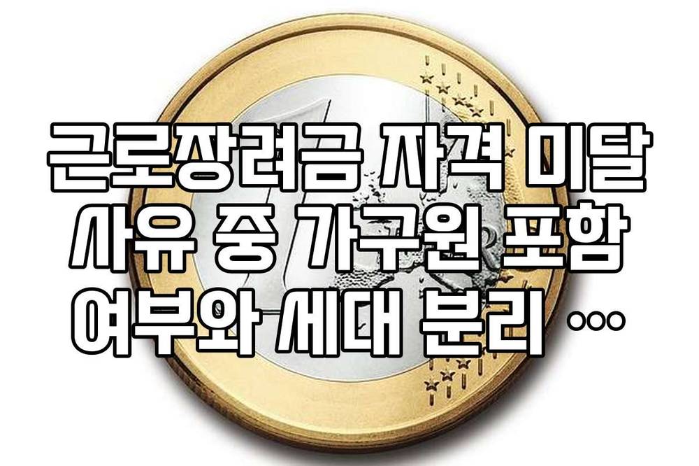 근로장려금 자격 미달 사유 중 가구원 포함 여부와 세대 분리 팩트 체크