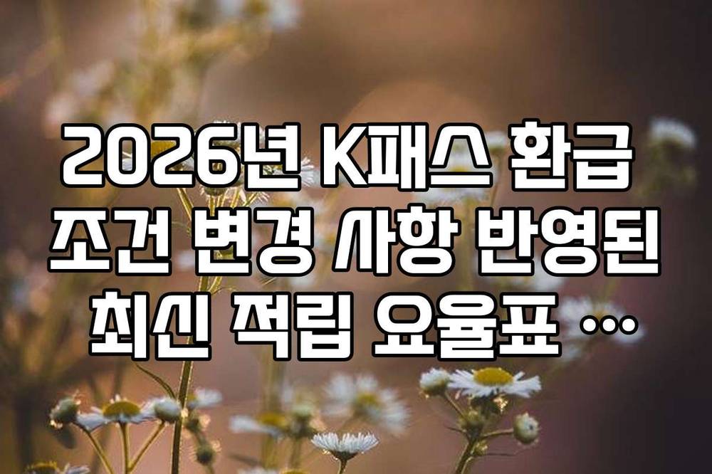 2026년 K패스 환급 조건 변경 사항 반영된 최신 적립 요율표 확인법