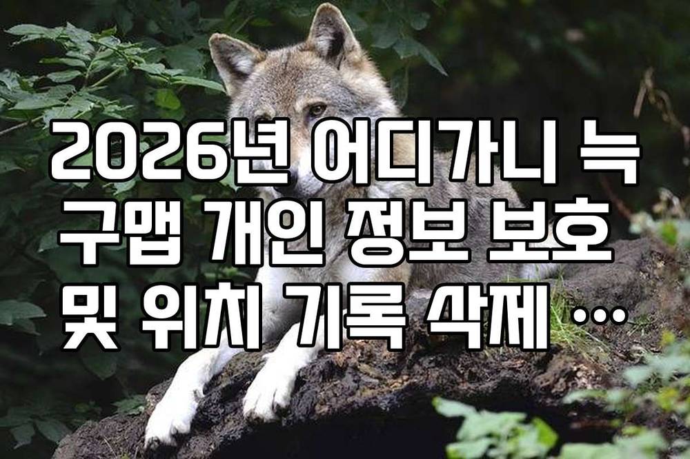 2026년 어디가니 늑구맵 개인 정보 보호 및 위치 기록 삭제 관리법