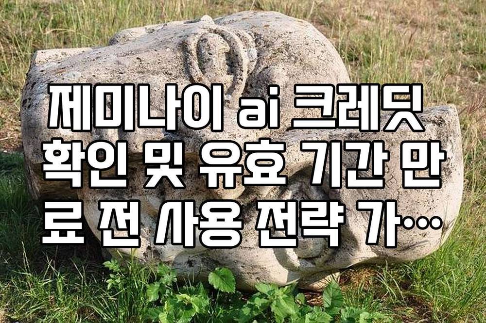제미나이 ai 크레딧 확인 및 유효 기간 만료 전 사용 전략 가이드