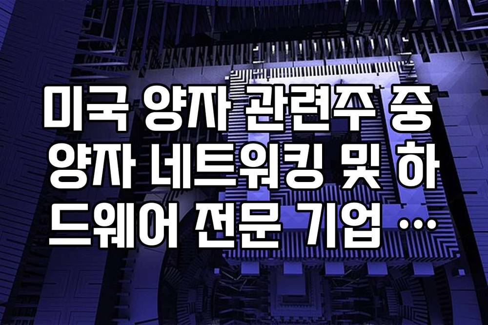 미국 양자 관련주 중 양자 네트워킹 및 하드웨어 전문 기업 전망