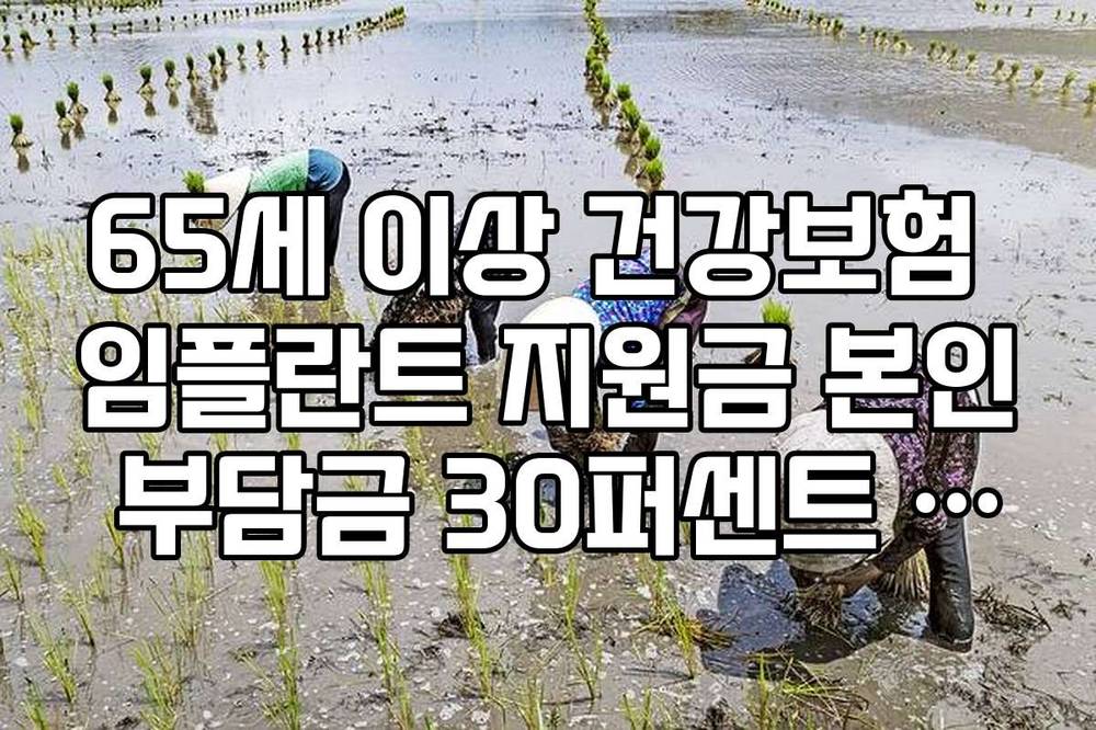 65세 이상 건강보험 임플란트 지원금 본인 부담금 30퍼센트 계산법