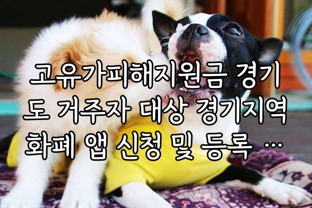 고유가피해지원금 경기도 거주자 대상 경기지역화폐 앱 신청 및 등록 가이드