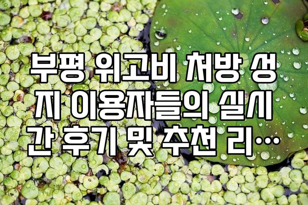 부평 위고비 처방 성지 이용자들의 실시간 후기 및 추천 리스트