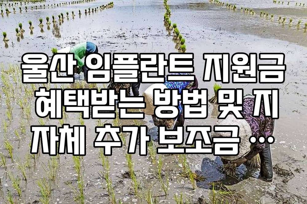 울산 임플란트 지원금 혜택받는 방법 및 지자체 추가 보조금 정리