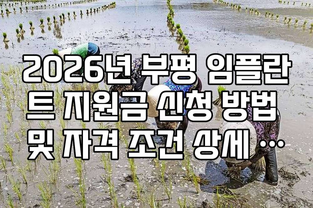 2026년 부평 임플란트 지원금 신청 방법 및 자격 조건 상세 가이드