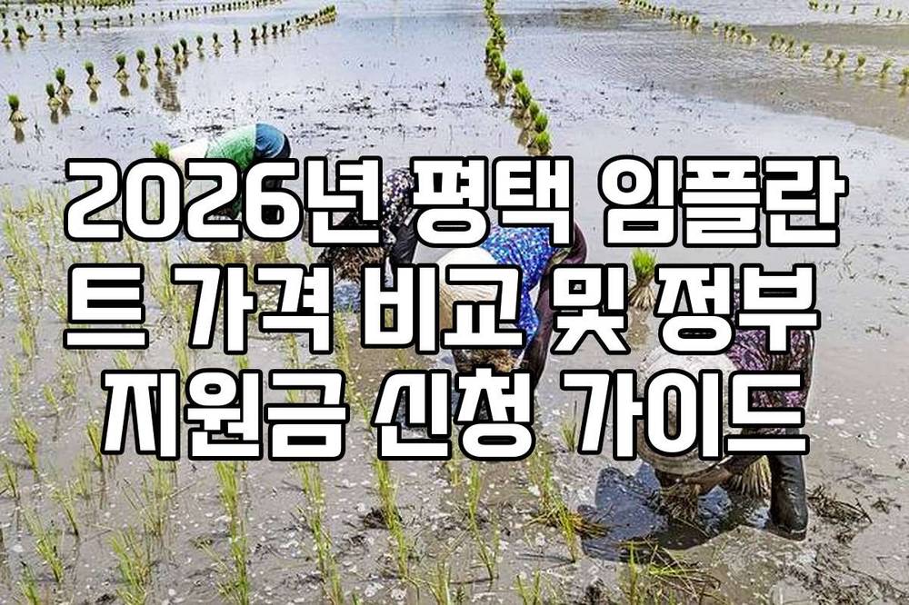2026년 평택 임플란트 가격 비교 및 정부 지원금 신청 가이드