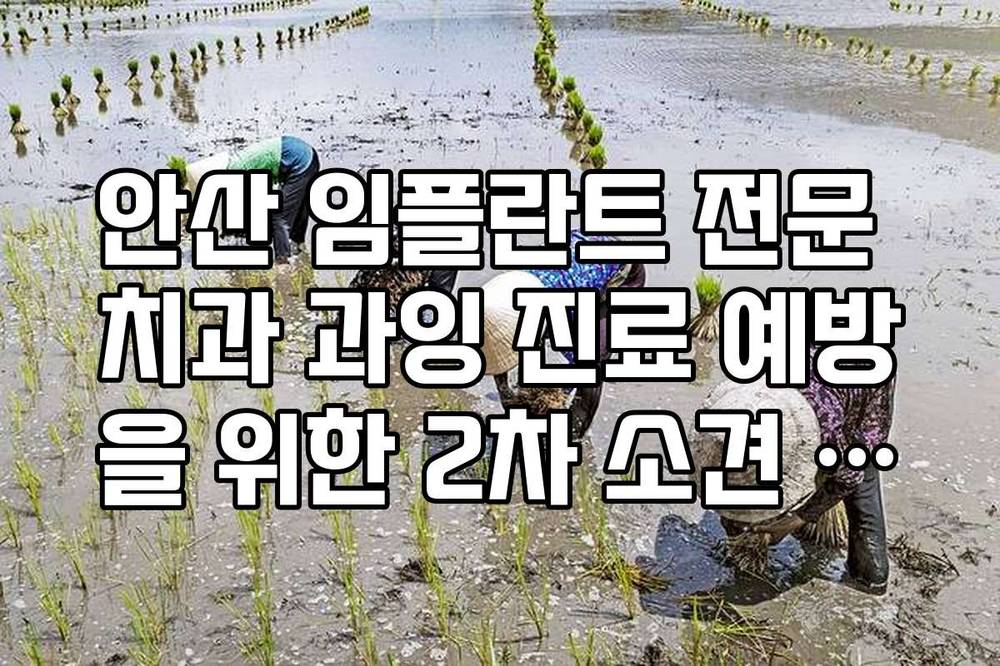 안산 임플란트 전문 치과 과잉 진료 예방을 위한 2차 소견 상담 팁