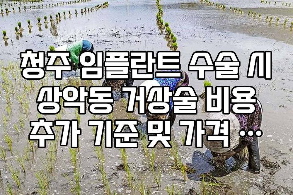 청주 임플란트 수술 시 상악동 거상술 비용 추가 기준 및 가격 정리