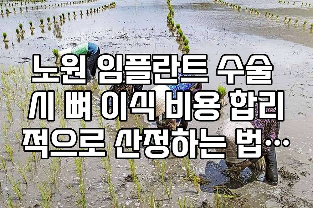 노원 임플란트 수술 시 뼈 이식 비용 합리적으로 산정하는 법 정리