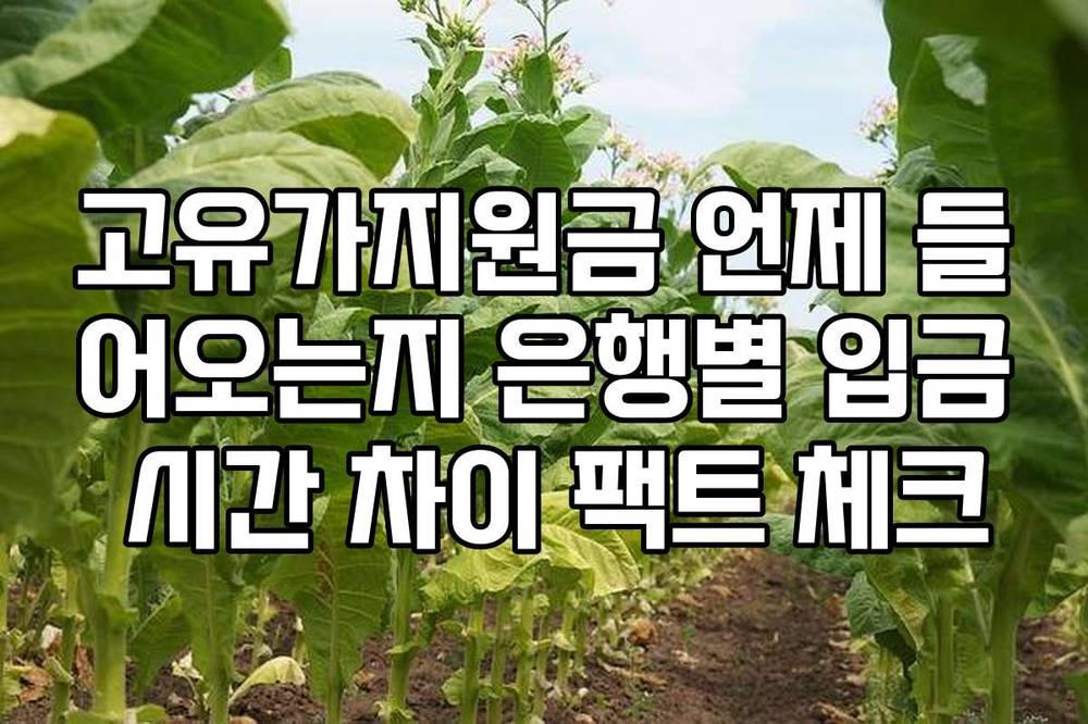 고유가지원금 언제 들어오는지 은행별 입금 시간 차이 팩트 체크