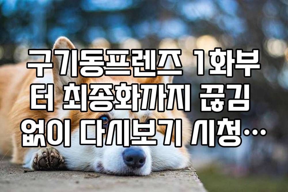 구기동프렌즈 1화부터 최종화까지 끊김 없이 다시보기 시청 방법