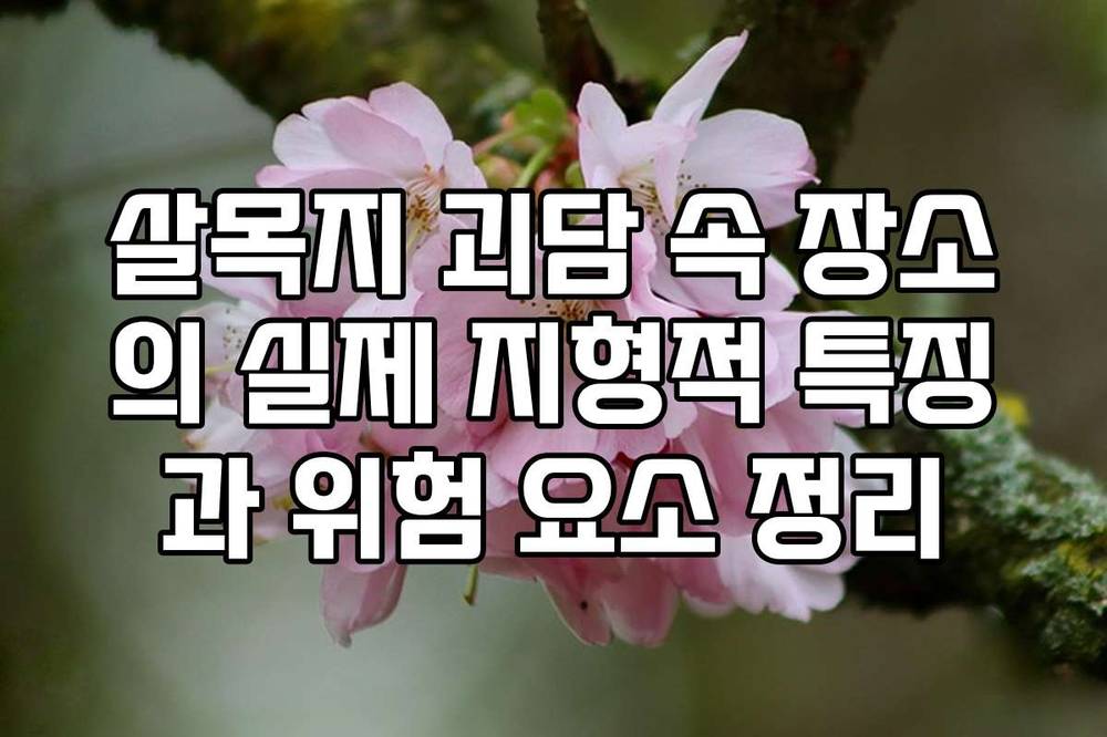 살목지 괴담 속 장소의 실제 지형적 특징과 위험 요소 정리