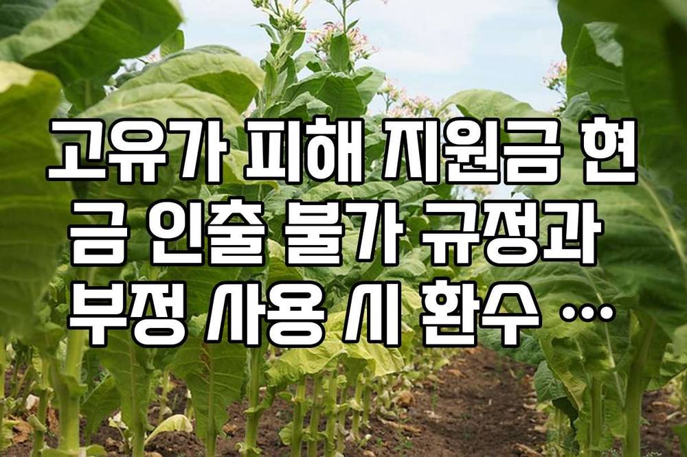 고유가 피해 지원금 현금 인출 불가 규정과 부정 사용 시 환수 조치