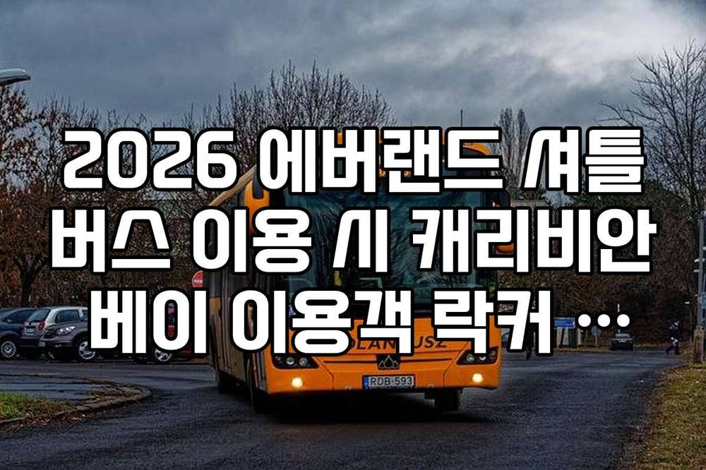 2026 에버랜드 셔틀버스 이용 시 캐리비안 베이 이용객 락커 이용 가이드