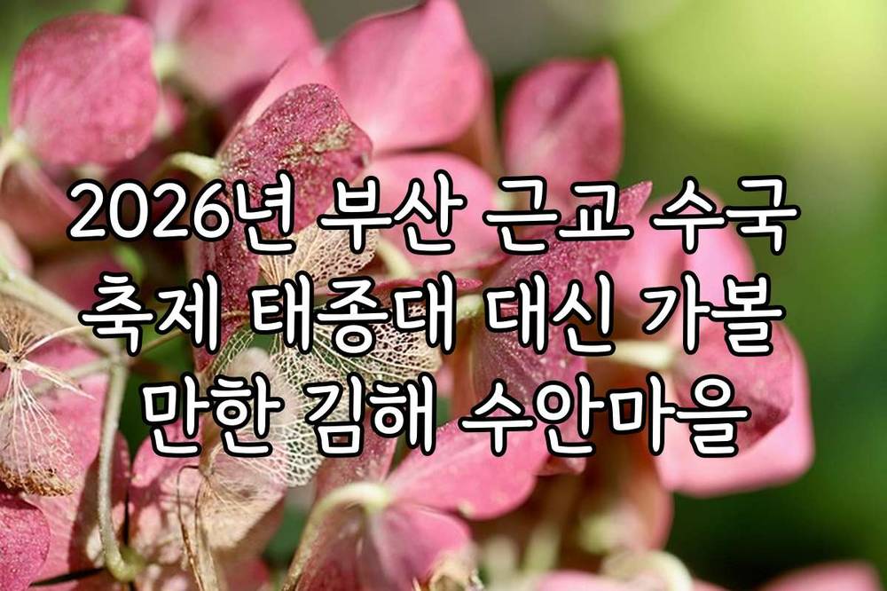 2026년 부산 근교 수국 축제 태종대 대신 가볼 만한 김해 수안마을