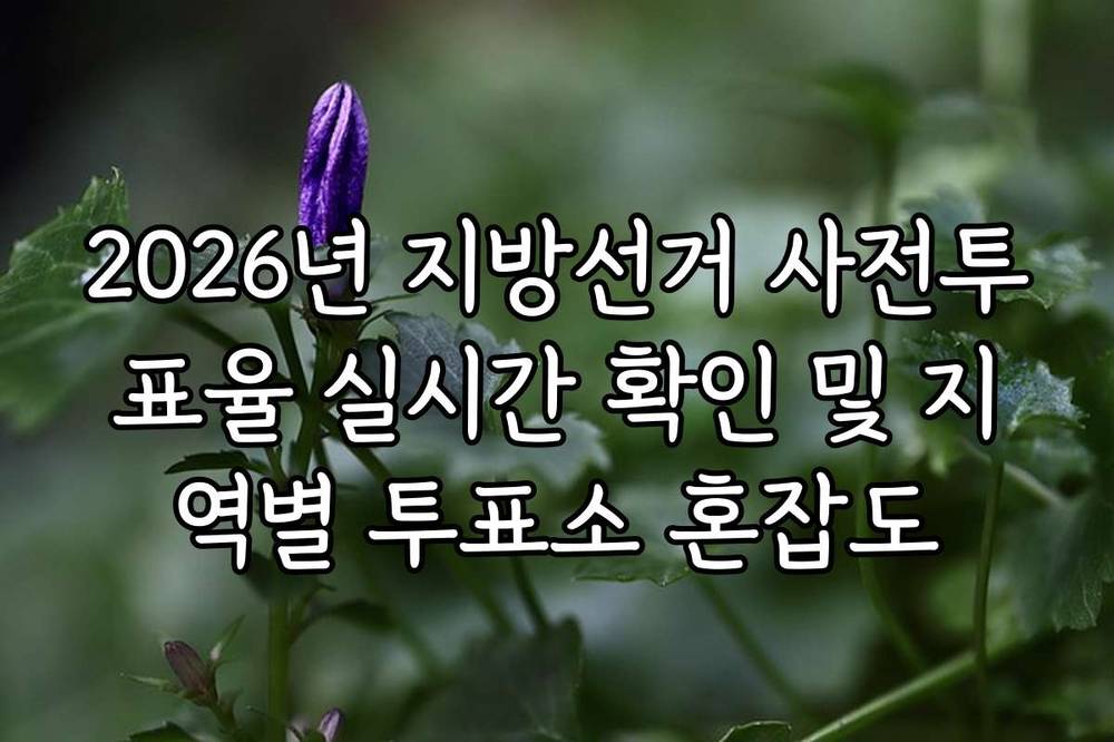 2026년 지방선거 사전투표율 실시간 확인 및 지역별 투표소 혼잡도