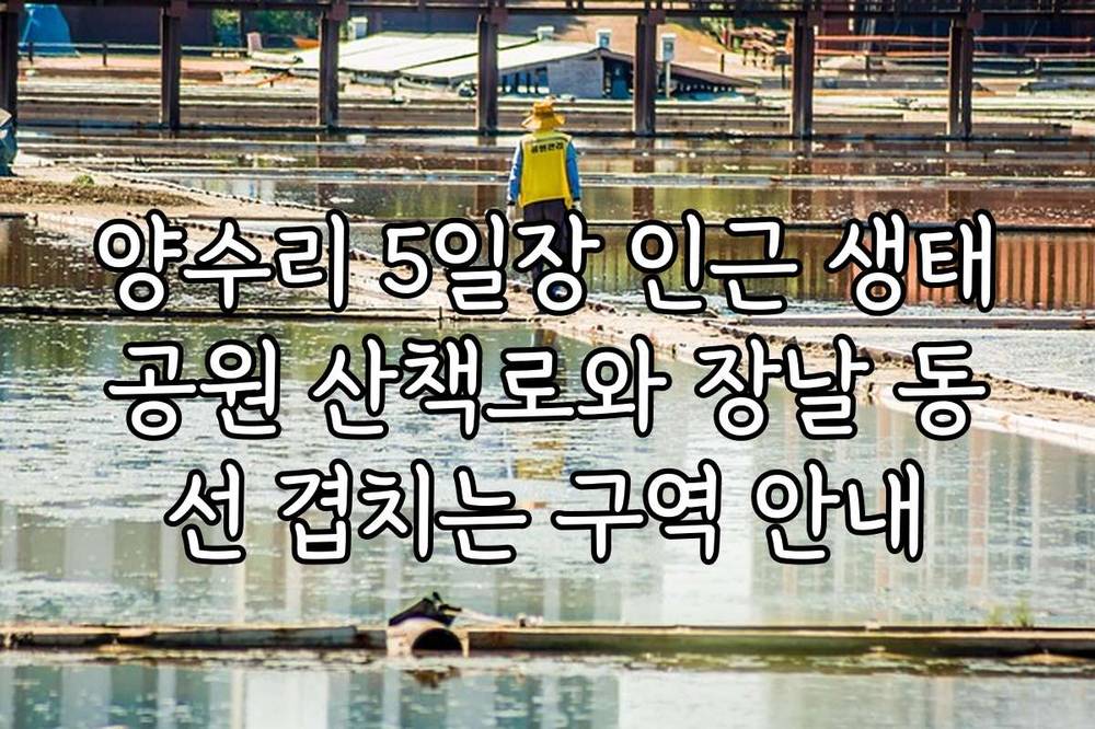 양수리 5일장 인근 생태공원 산책로와 장날 동선 겹치는 구역 안내