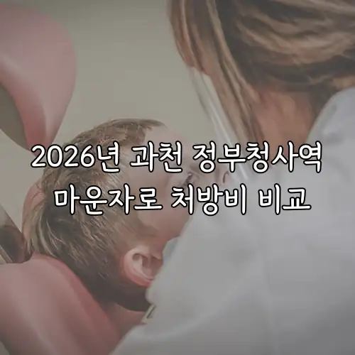 2026년 과천 정부청사역 마운자로 처방비 비교