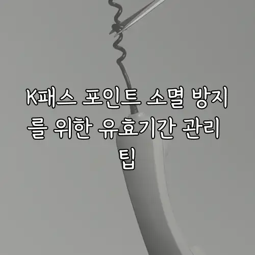 K패스 포인트 소멸 방지를 위한 유효기간 관리 팁