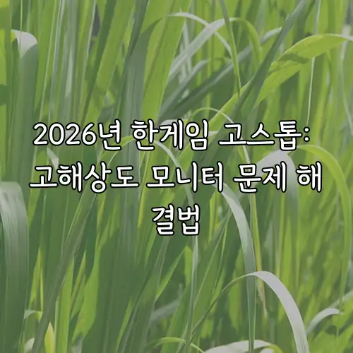 2026년 한게임 고스톱: 고해상도 모니터 문제 해결법