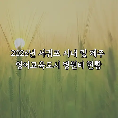 2026년 서귀포 시내 및 제주 영어교육도시 병원비 현황