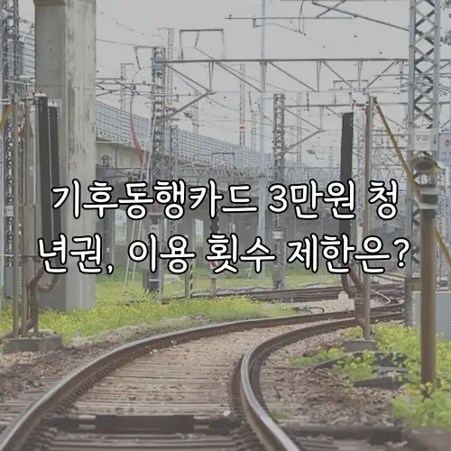 기후동행카드 3만원 청년권, 이용 횟수 제한은?