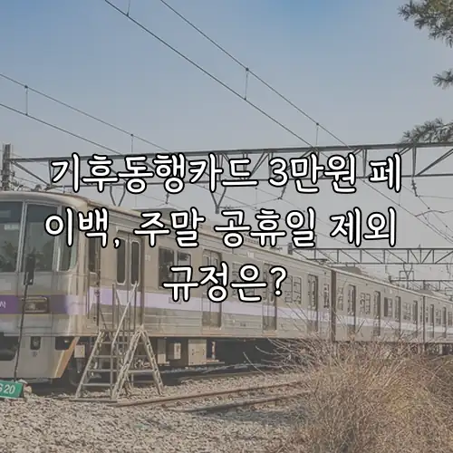 기후동행카드 3만원 페이백, 주말 공휴일 제외 규정은?