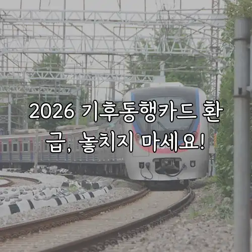 2026 기후동행카드 환급, 놓치지 마세요!