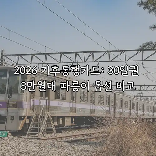 2026 기후동행카드: 30일권 3만원대 따릉이 옵션 비교
