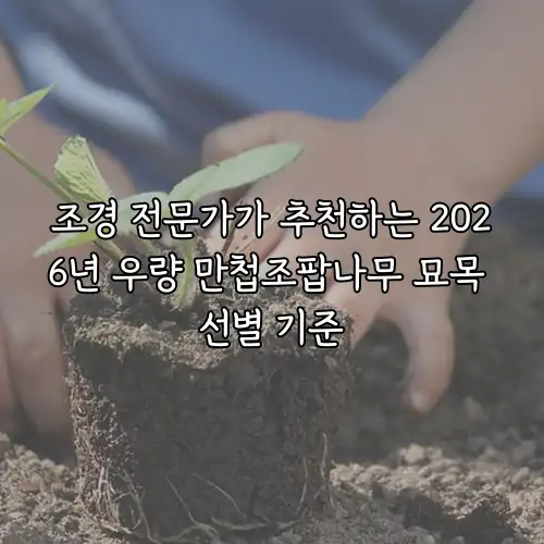 조경 전문가가 추천하는 2026년 우량 만첩조팝나무 묘목 선별 기준