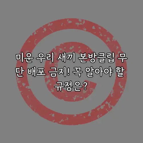 미운 우리 새끼 본방클립 무단 배포 금지! 꼭 알아야 할 규정은?