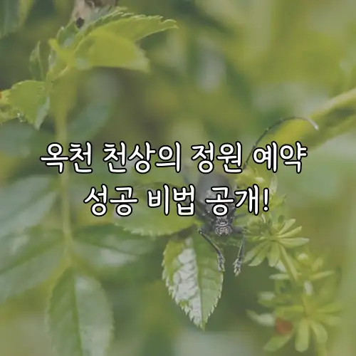 옥천 천상의 정원 예약 성공 비법 공개!